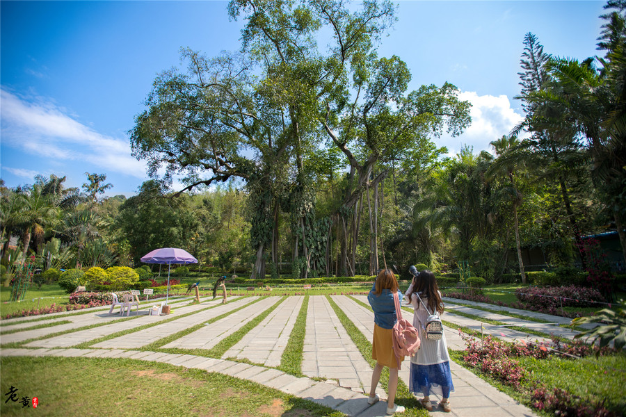 打洛国门景区,云南打洛风景区