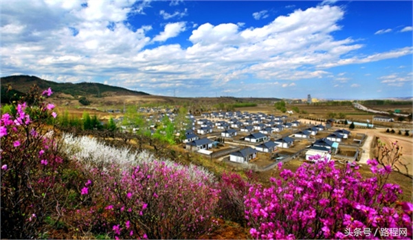 吉林新型野奢营地,吉林市新增露营基地