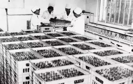 从小作坊到130亿独角兽,从小工厂到食品巨头