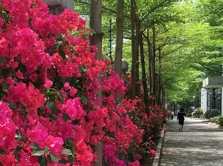 我在西乡中学，等一个人！