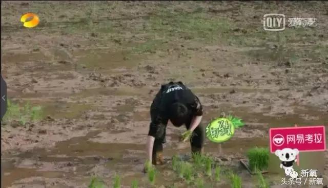 吐槽张杰土味视频,张杰吐槽土味视频