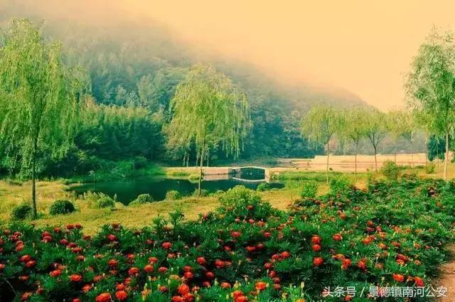 河南警官证免费景区,河北省哪些景区使用警官证免费