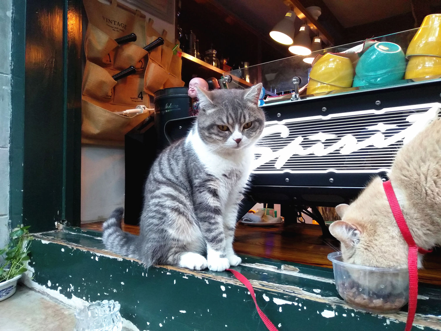 閿ゅ瓙鍧氭灉3鎷嶇収鏁堟灉,閿ゅ瓙鍧氭灉3鎷嶇収