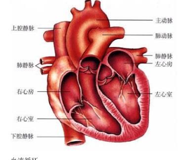 2018中考生物知识点总结（图文并茂），喜欢的朋友记得收藏或转发