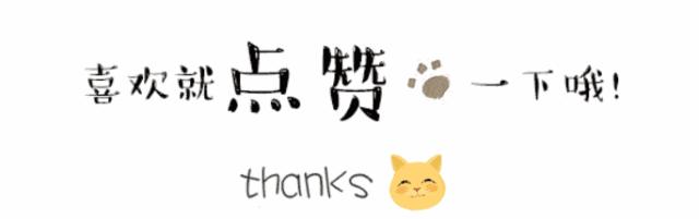 智领未来，“雨花软件”怒放创新名城