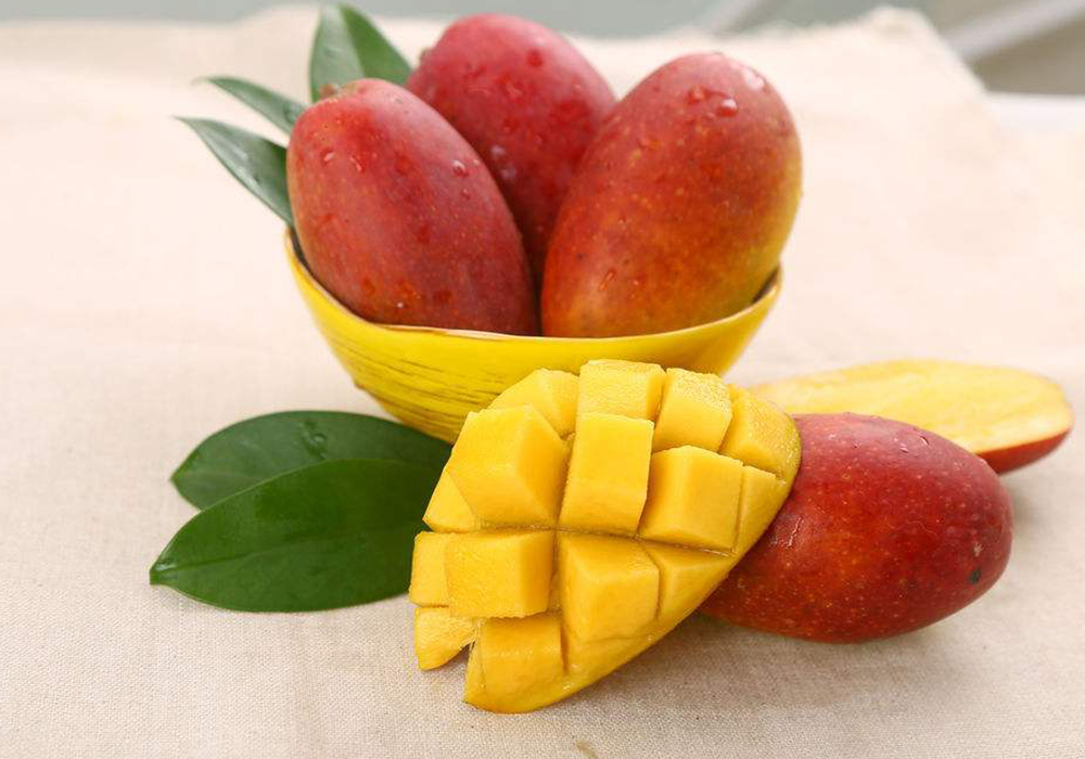 常见芒果的种类及图片,不同种类芒果口味
