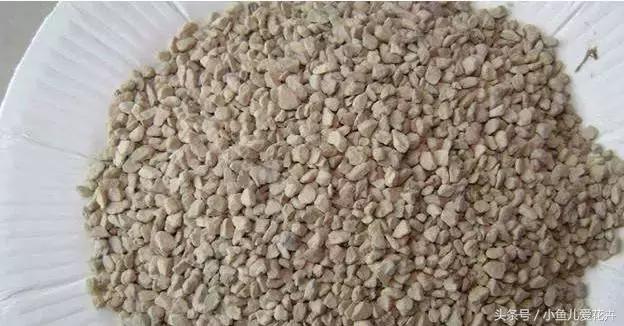 新手养肉肉最好用什么土,新手养肉配土