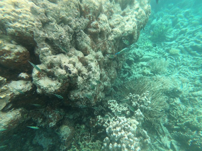 帕劳的海景风光给人美的享受,帕劳的海洋和沙滩风景图片