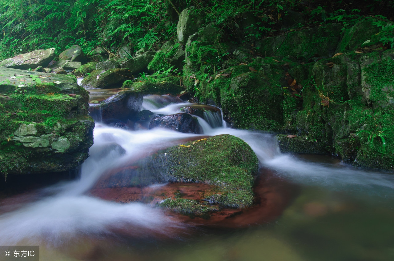 清热去火茶煲什么汤喝最好,清热去火祛痘的茶有哪些呢