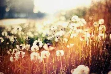 青年节愿我们永远年轻,五四青年节只争朝夕不负韶华