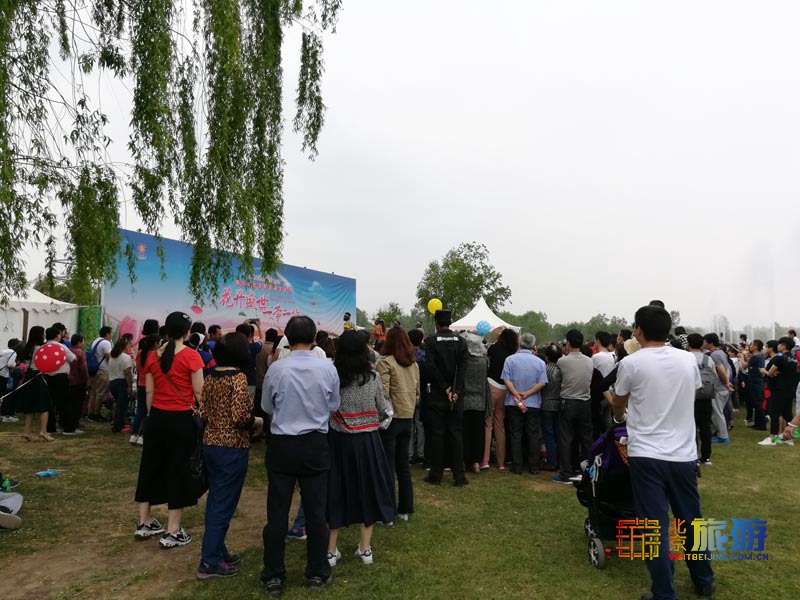 北京国际鲜花港游玩指南来啦！郁金香争奇斗艳，音乐喷泉令人震撼，云雾仙境如梦似幻！