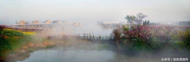 张家港市凤凰镇发展,张家港凤凰未来5年规划