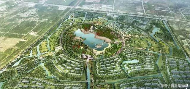 张家港市凤凰镇发展,张家港凤凰未来5年规划