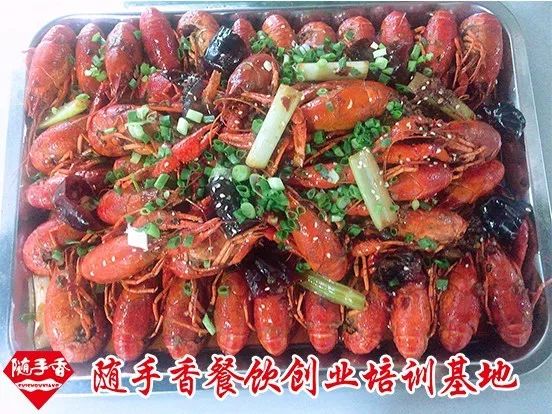 随手香餐饮创业培训,随手香餐饮创业论坛会