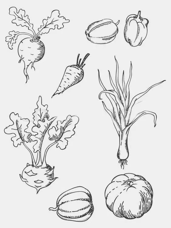 有了画画模板该怎么画,新手比较适合的画画教程