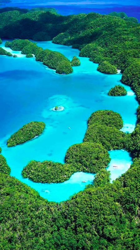 帕劳旅游的真实感受,中国可以去帕劳旅行吗