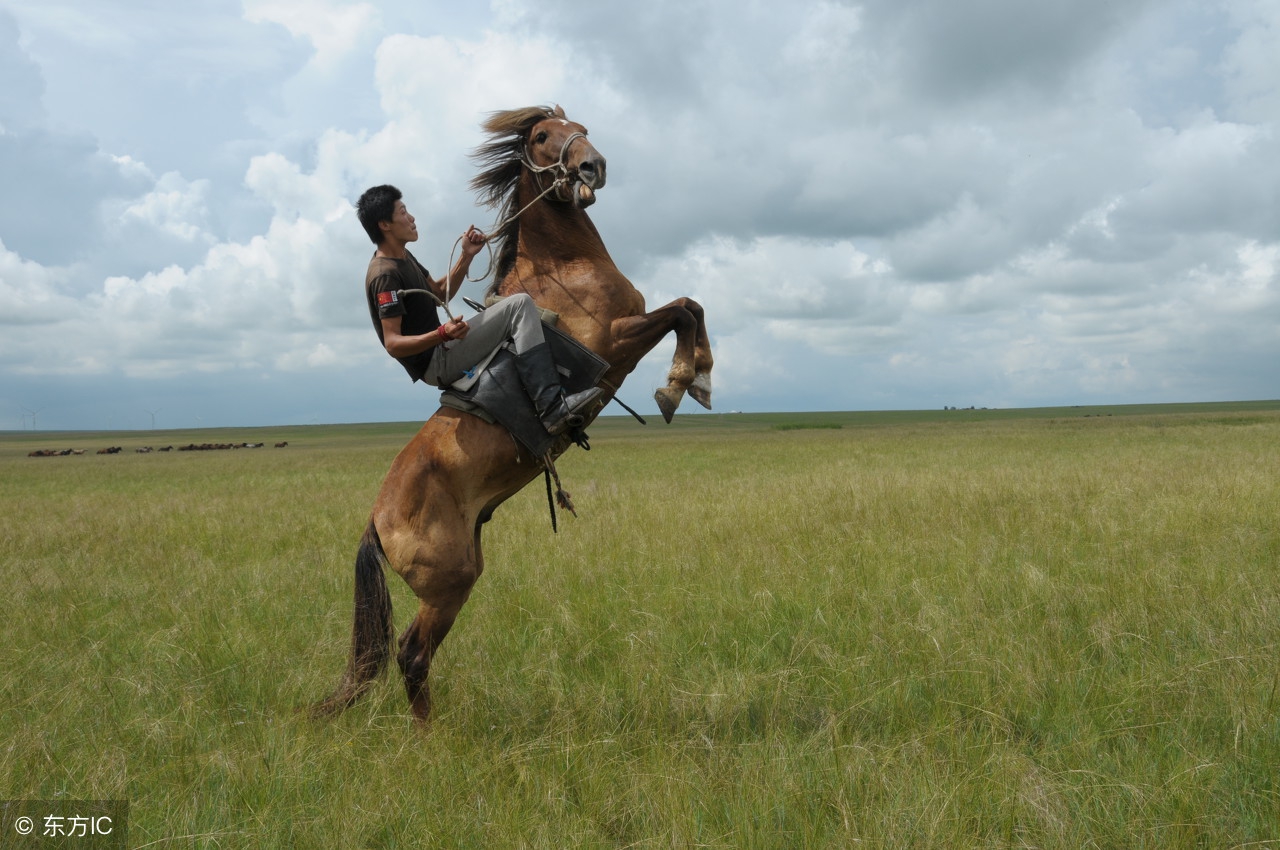 男人优雅有风度,好有风度魅力的男人