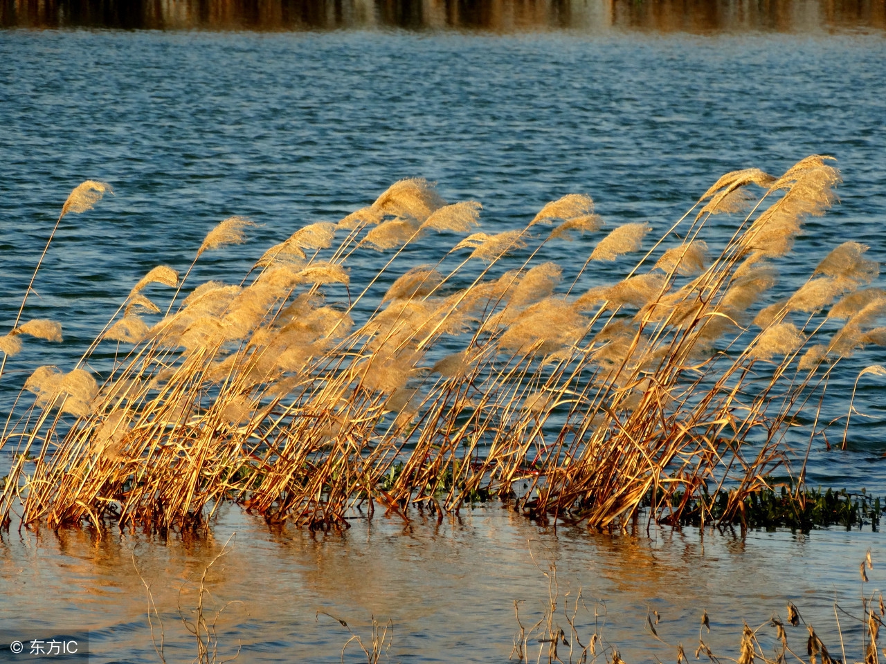 男人一定要有度,男人就应该进退有度