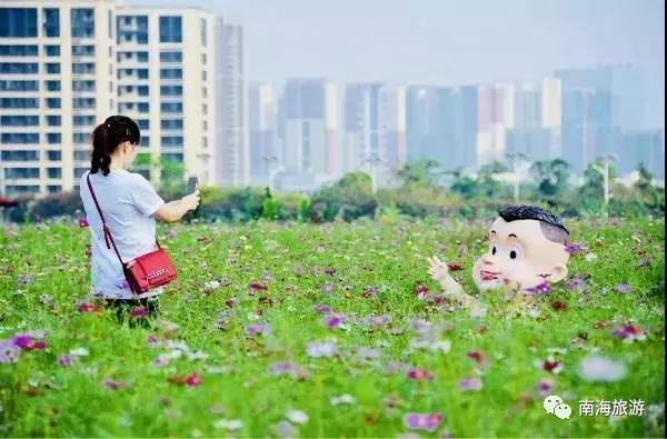 紫色薰衣草海+五彩摩天轮！南海这里充满异国风情如电影般唯美！