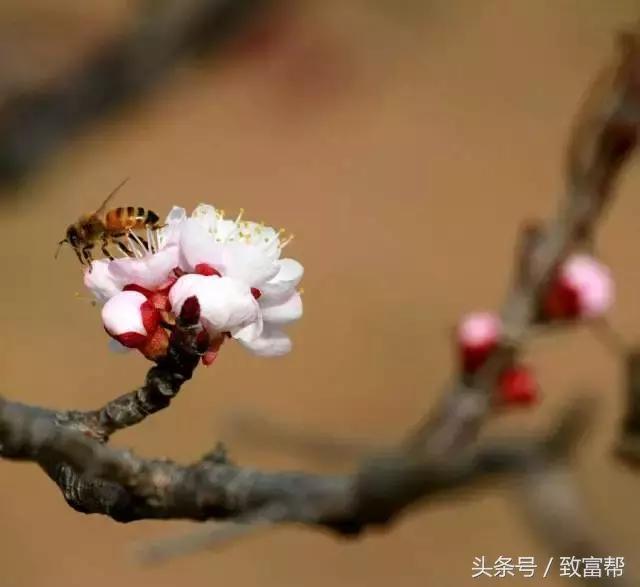 过去一周,这些致富锦囊请拿走不谢!