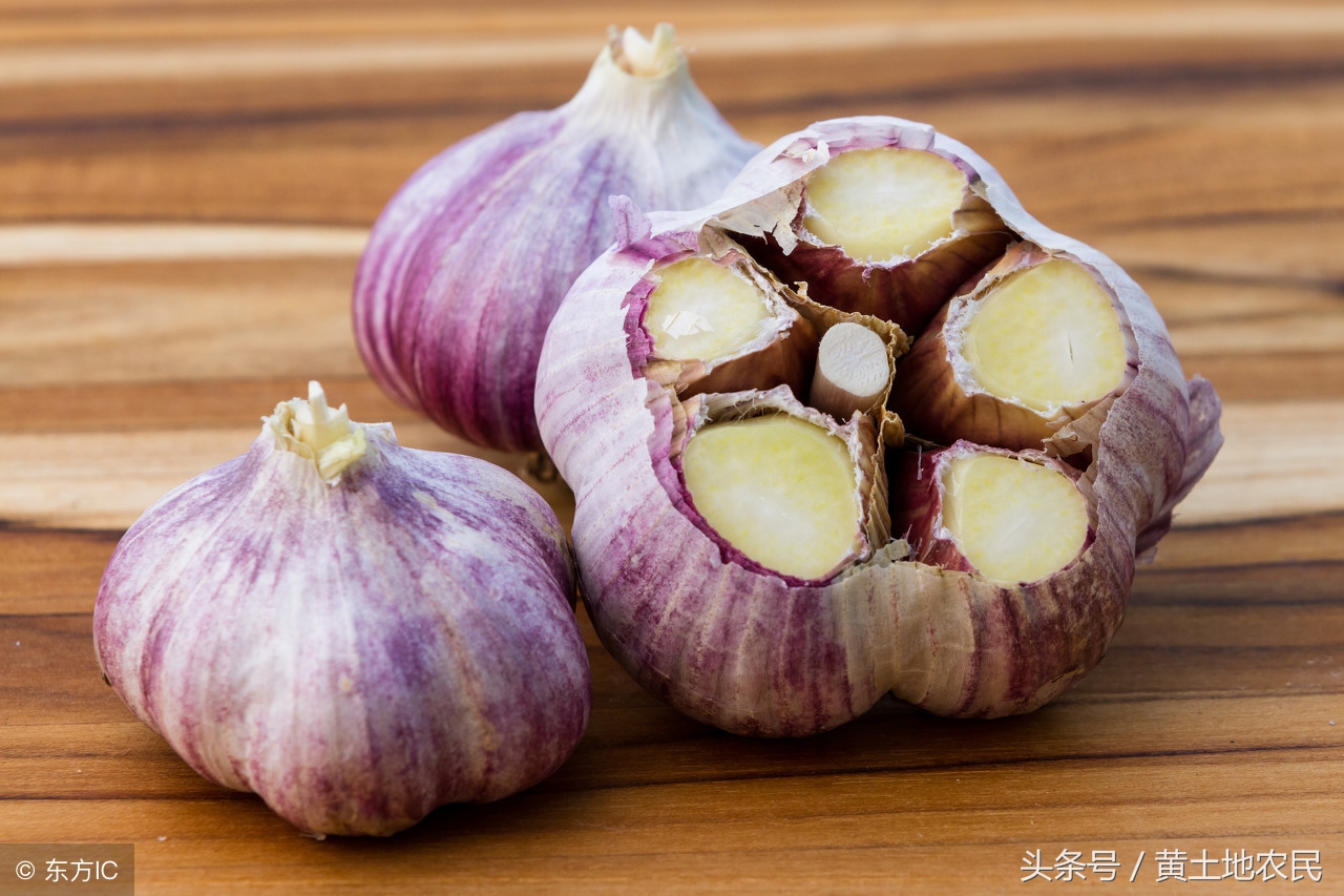 今日邳州市大蒜最新价格行情,2023大蒜库内行情预测