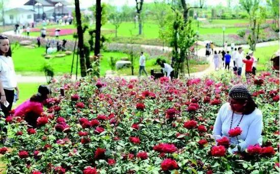 湖北新建的重大项目,湖北新增城市