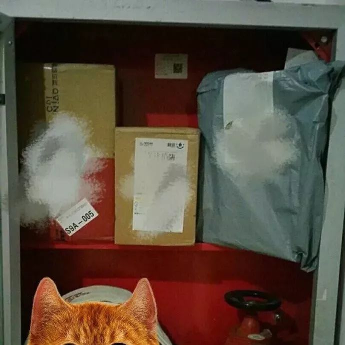 快递到了无人来拿,快递到了没人配送