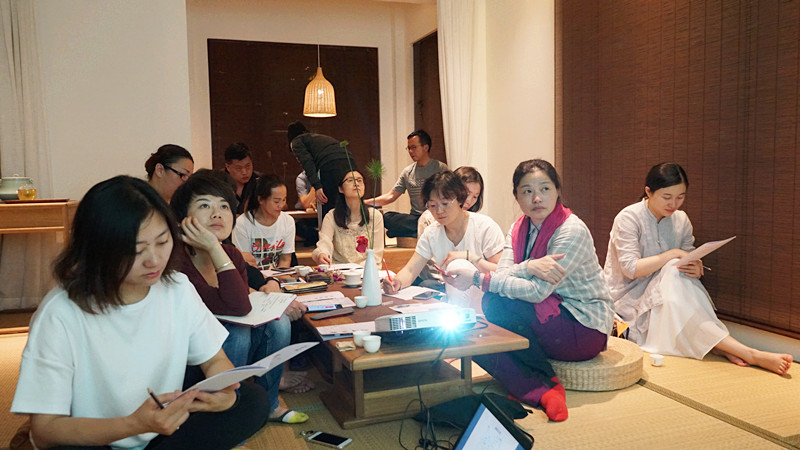 探寻800年古树普洱茶的神秘魅力,探寻古树普洱茶