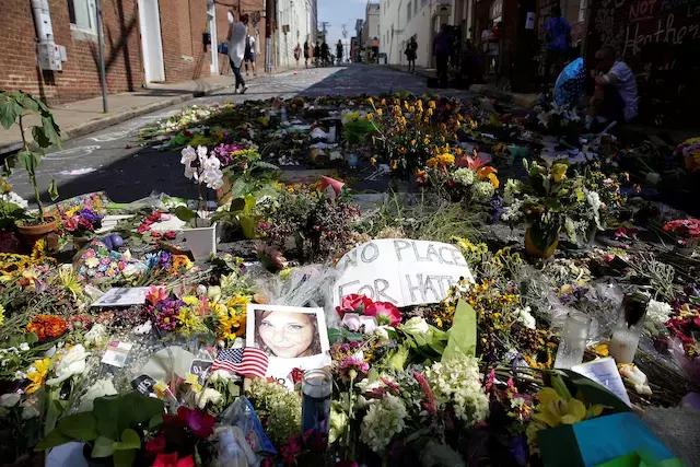 云曦究竟是什么种族,种族意识是什么