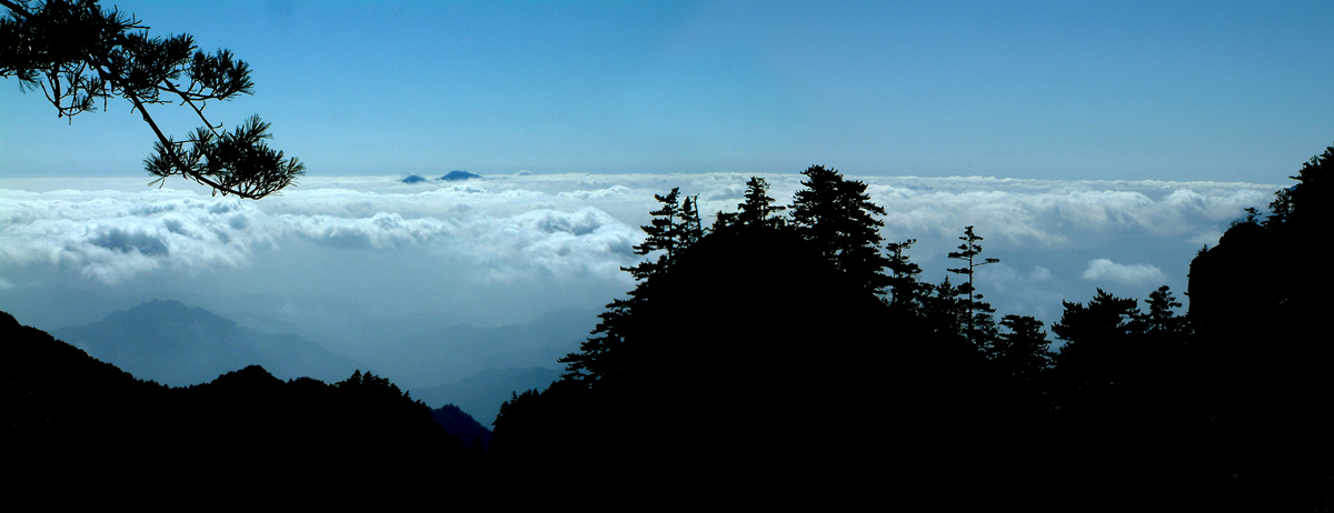 5a嵩县,5a嵩县县城