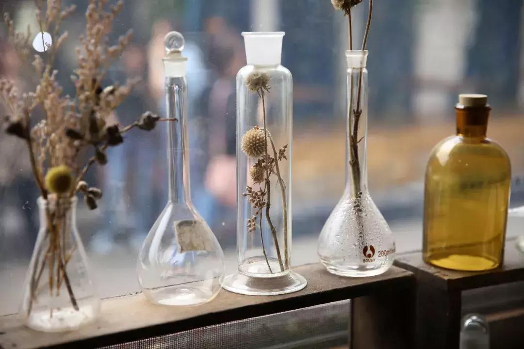 不爱回家探店,北京网红花店有哪些