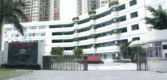 广东深圳十大最好的学校,厉害了深圳