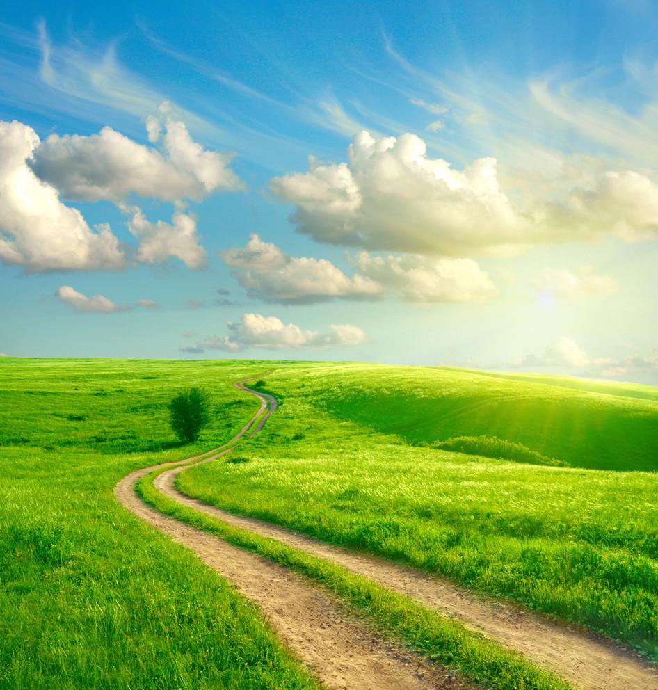 早期流产怎么调理身体,孕早期流产后注意事项和调理