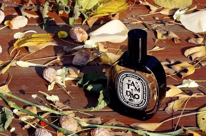 女人身上的香水味是什么很好闻 (你身上有他的香水味但没有我的贵)