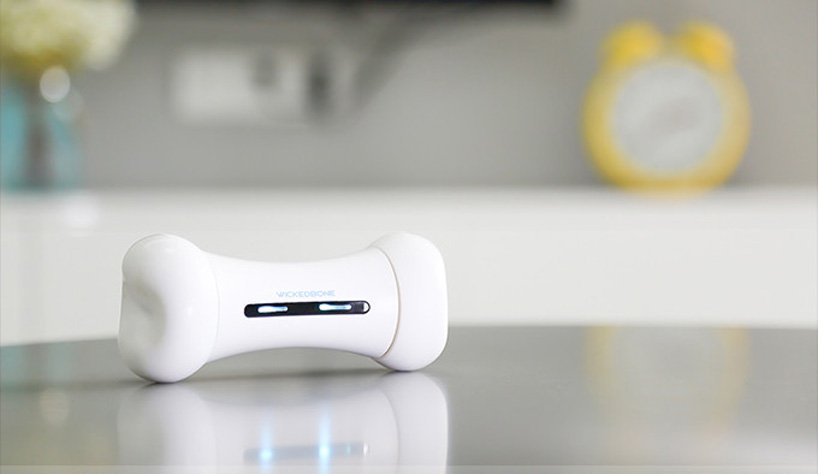 会说话的宠物玩具耐咬解闷神器,智能背带帮主人了解宠物狗情绪