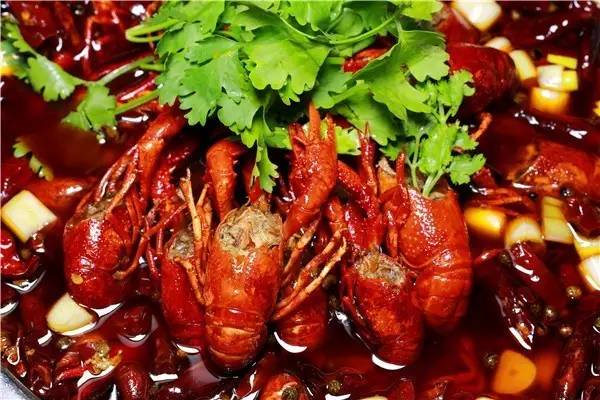 魔芋豆腐最简单的家常做法大全,魔芋豆腐家常做法大全视频教程