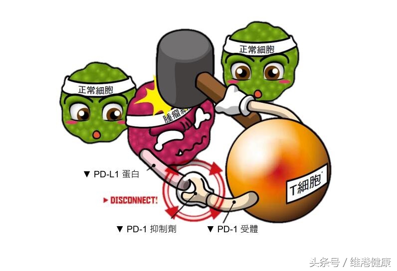 pd-1抗癌药物有没有效果,抗癌特效药各大医院卖不卖