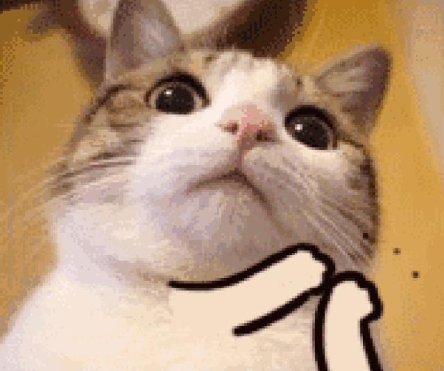 爆款烟酰胺面膜补水保湿,测评全网100款最火面膜