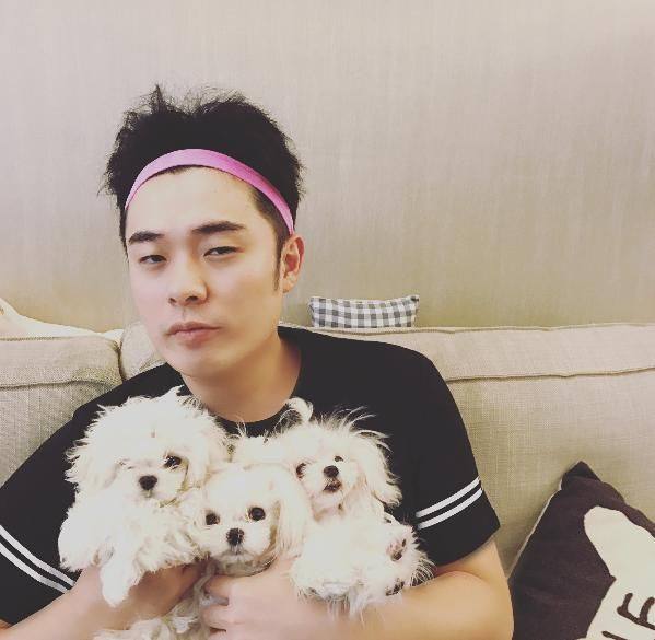 跑男团成员的宠物有哪些,跑男团更宠谁