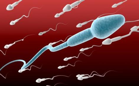 异常精子形态百分率高,异常精子形态什么意思