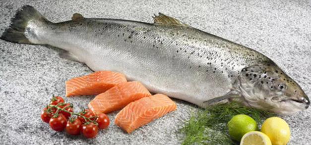 dha长期服用会铅超标吗 (dha摄入过多会不会引起中毒)