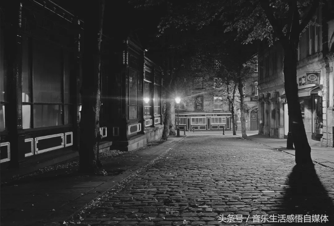 洋韭菜和土韭菜,喜欢吃韭菜的老韭菜