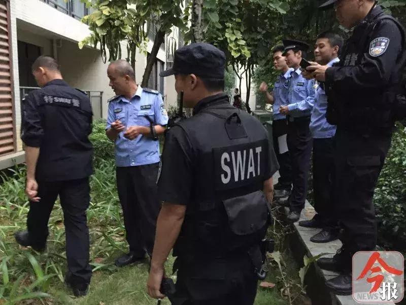 恶犬咬死小狗,花果园恶犬咬死猫