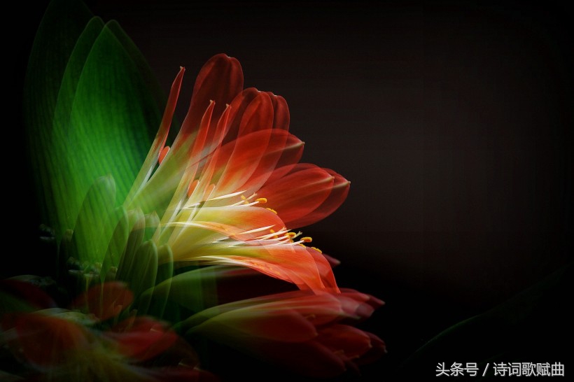 谁说毛*东泽**没写过抗日有关诗词，这几首难道不是？