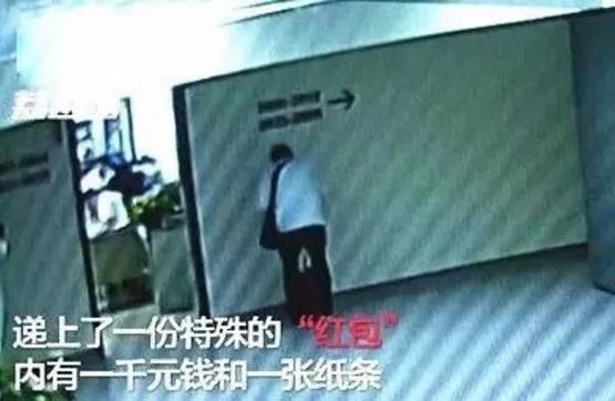 董卿点赞完整版,董卿被夸的站起来鞠躬