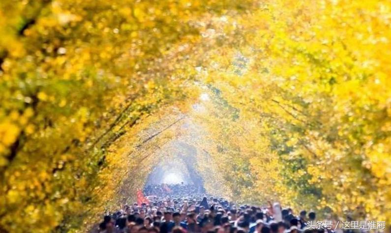 徐州邳州有哪些镇,徐州邳州有哪些地方