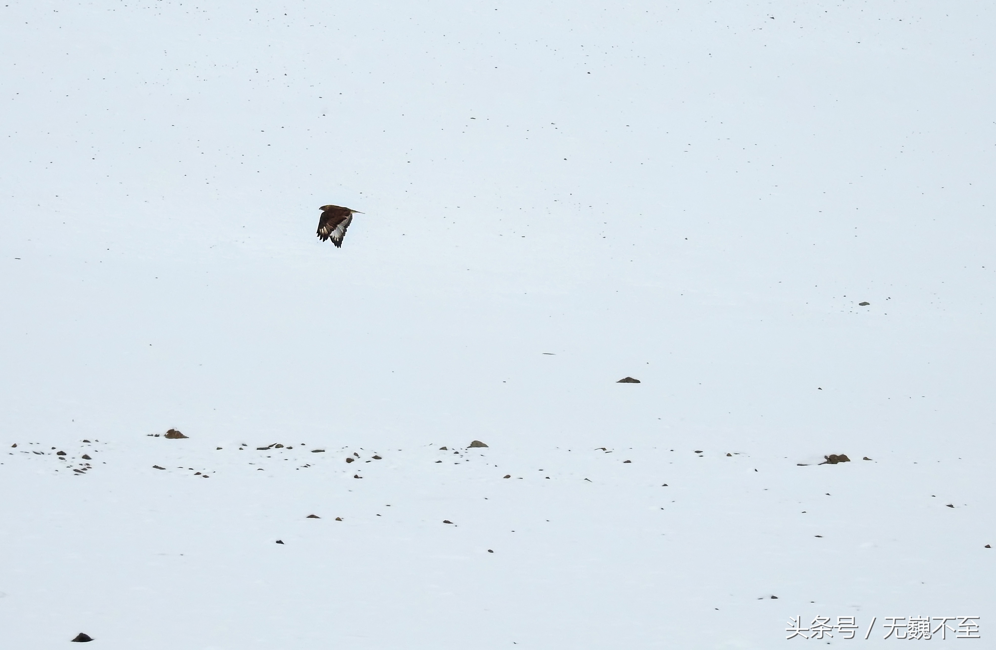 四姑娘山海拔最高的垭口,攀登四姑娘山三峰海拔多少