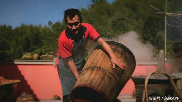 又到野生杨梅成熟的季节,又到了杨梅采摘季节