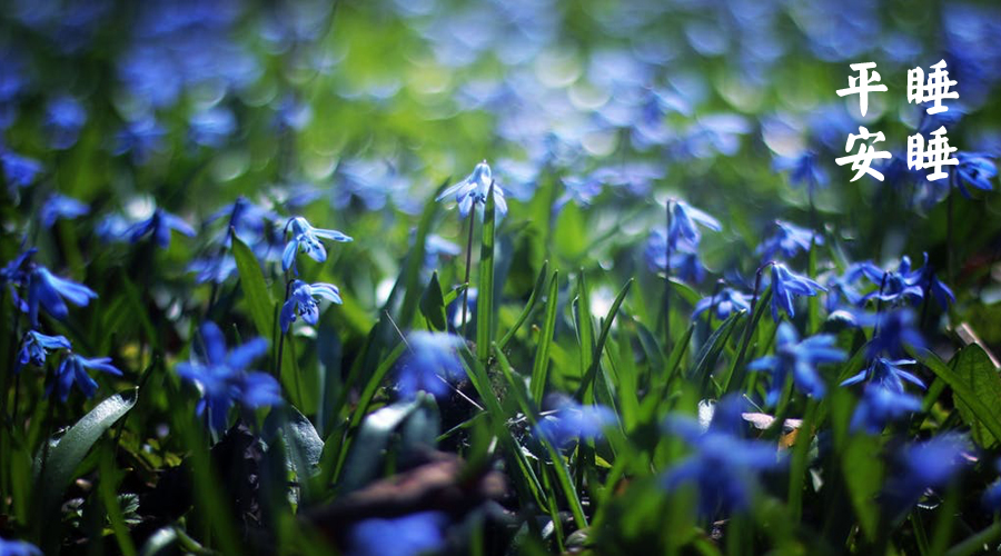 梁冬对话王唯工谈失眠,梁冬谈睡觉的问题