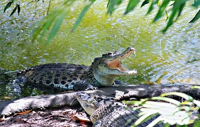 深圳机场温哥华航线,深圳直飞温哥华航线图